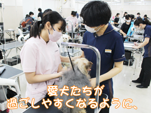 夏休みもトリミング実習♪